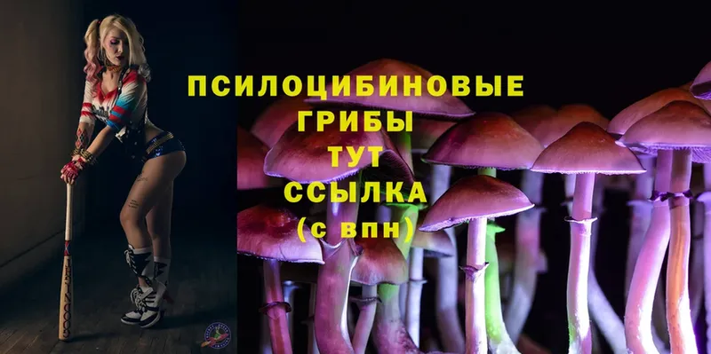 Псилоцибиновые грибы MAGIC MUSHROOMS  Верея 